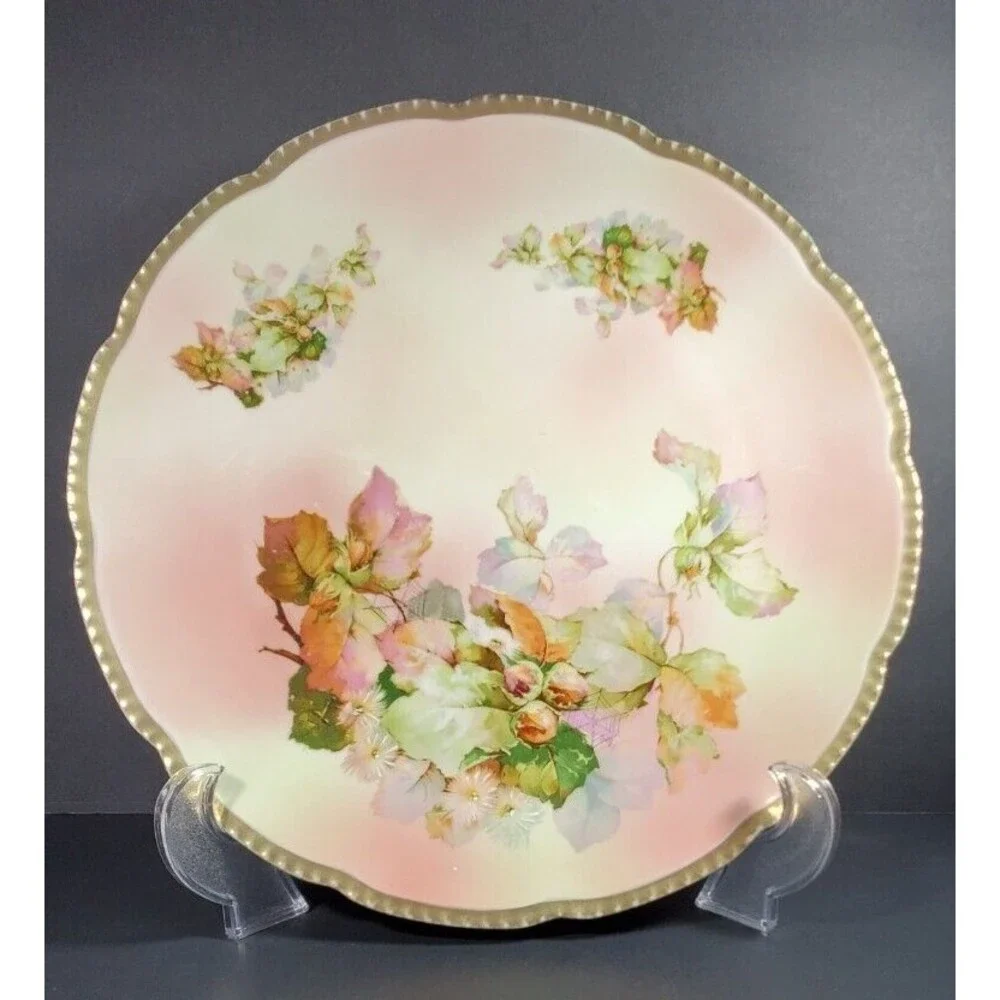 Vtg Hand-Painted Royal Rudolstadt Large Porcelain Plate Floral Spider Webs